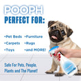Load image into Gallery viewer, Doggie Bundle
