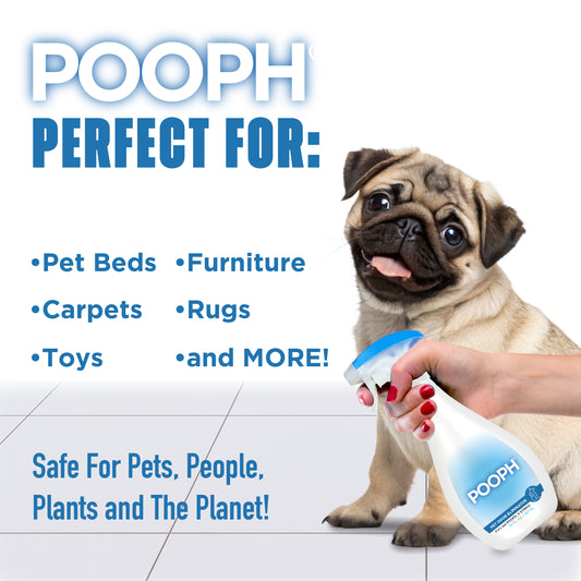 Doggie Bundle