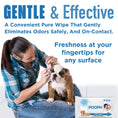Load image into Gallery viewer, Doggie Bundle
