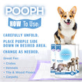 Load image into Gallery viewer, POOPH® Potty Pads™
